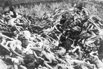 Концентрационен лагер Берген-Белзен – общ гроб на убити затворници; април 1945 г. след освобoждаването на лагера (IPN)