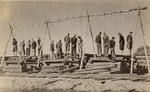 Екзекуция на жп гарата в Ружки край Радом, извършена от германците на 12 октомври 1942 г. След случайна размяна на огън между група полски конспиратори и немската жандармерия тук са обесени публично 15 души. Телата са оставени да висят цял ден на бесилкит