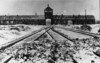 Портата, водеща към концентрационен лагер Аушвиц – Биркенау; януари 1945 г. (IPN).