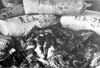 Купчина чували с косите на убити жени в концентрационен лагер Аушвиц-Биркенау. Косите са опаковани от германците и готови за транспортиране, за да бъдат използвани в промишлеността; 1945 г. след освобождаването на лагера; (IPN).