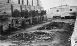 Концентрационен лагер Майданек -останки от овъглените трупове, захвърлени край пещите на крематориума; юли 1944 г. след освобождаването на лагера (IPN).