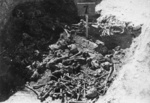 Един от гробовете, разкрити по време на ексхумациите на територията на концентрационен лагер Майданек; есента на 1944 г. (IPN).