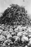Концентрационен лагер Майданек - останки и кости на жертвите, открити по време на ексхумациите; есента на 1944 г. (IPN).