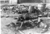 Транзитният лагер в Жабиково близо до Познан – телата на затворници, разстреляни и после изгорени от германците по време на евакуацията на лагера; януари 1945 г. след освобождаването на лагера (IPN).