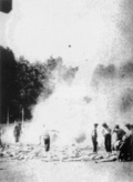 Изгаряне на трупове на евреи в концентрационен лагер Аушвиц-Биркенау. Снимката е направена тайно от един от членовете на еврейската Sonderkommando през 1944 г.(IPN).