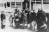 Унгарски евреи в концентрационния лагер Аушвиц-Биркенау на път към газовите камери (IPN).